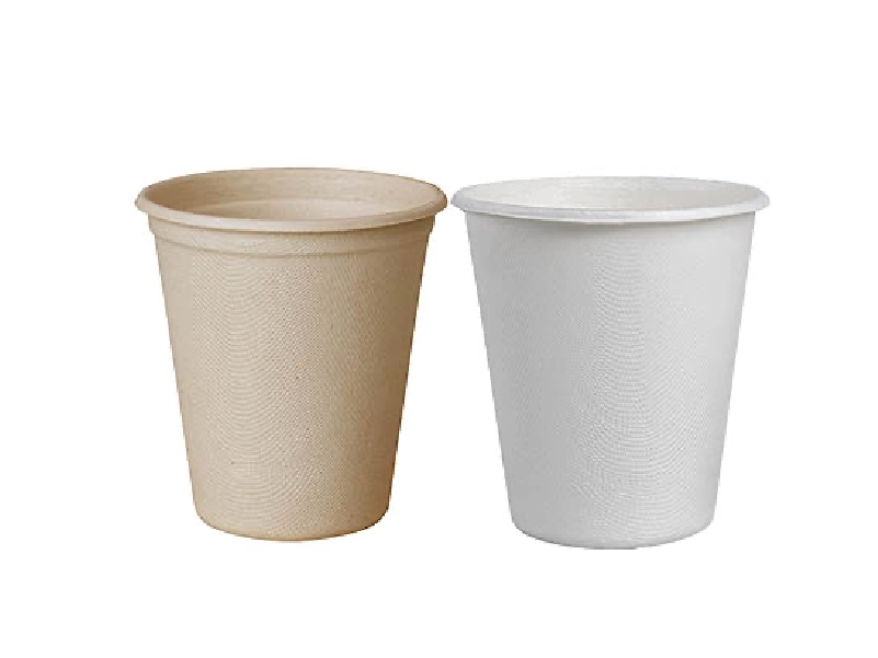 Bagasse Paper Cup