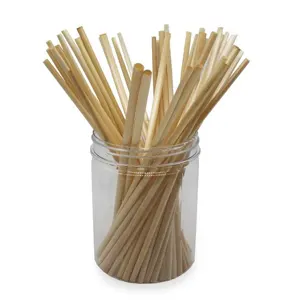 What is Wheat Straw Plastic? 6 Disposable Wheat Drinking Straws