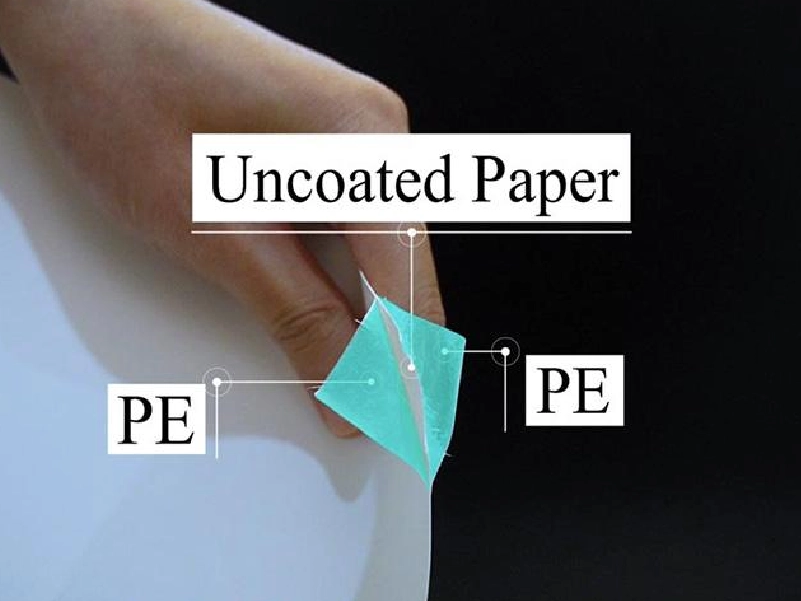 Double-Layer PE Coating