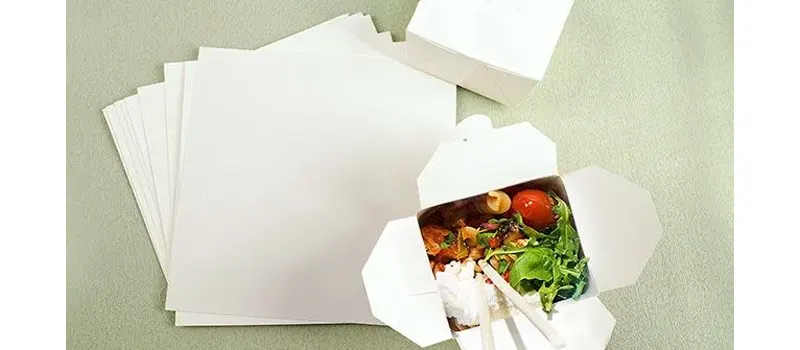 Types of Paper for Food Packaging: A Comprehensive Guide 4 FBB Paperboard