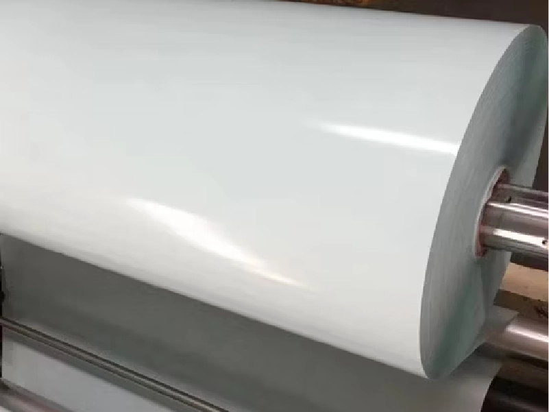 PLA (Polylactic Acid) Coating