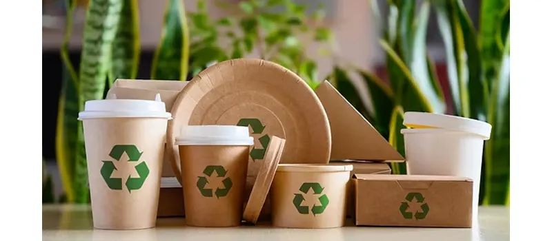 Types of Paper for Food Packaging: A Comprehensive Guide 16 Trends and Innovations in Paper Food Packaging