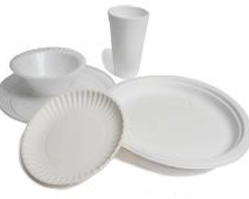 Can You Microwave Paper Plates? 3 Wax Coated Paper Plates