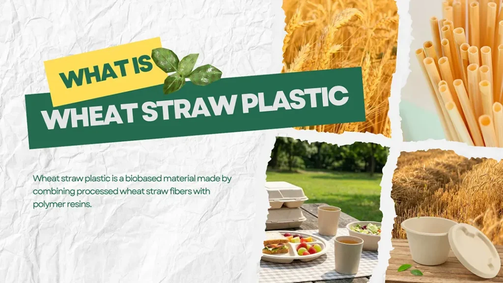 What is Wheat Straw Plastic? 4 What is Wheat Straw Plastic