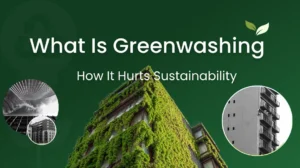 what is greenwashing