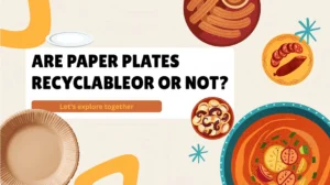 Are Paper Plates Recyclable or Not