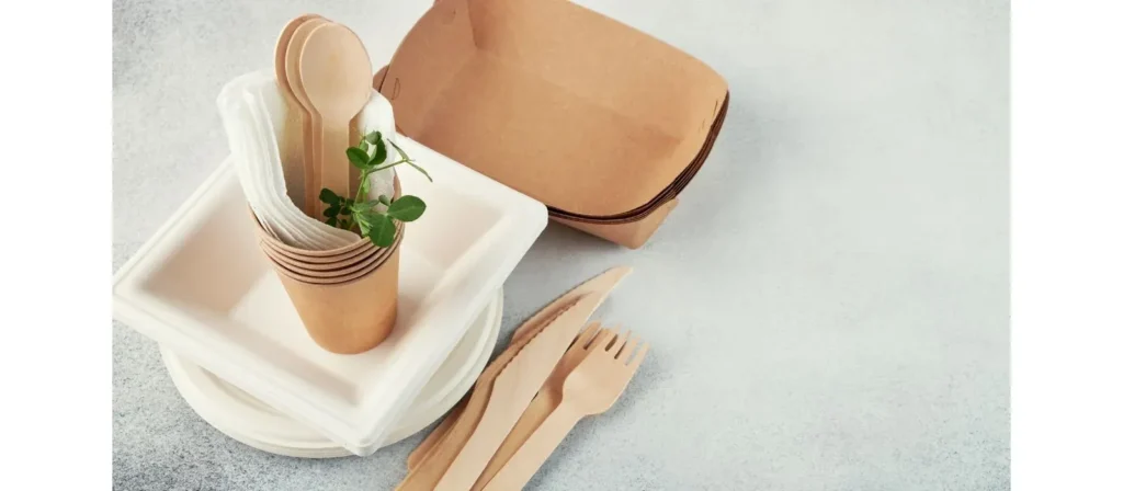 Using Eco-Friendly Disposable Cutlery to Cut Plastic Waste 6 Bagasse Based Cutlery