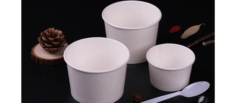 What Is PE Coated Paper? 5 Benefits of PE Coated Paper