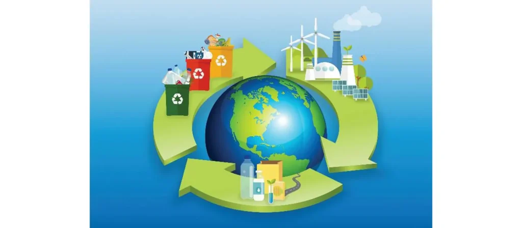 Sustainable Packaging What Every Business Should Know 5 Circular Economy