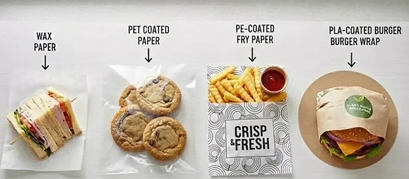 What Is PE Coated Paper? 7 Comparison with Other Types of Coated Papers