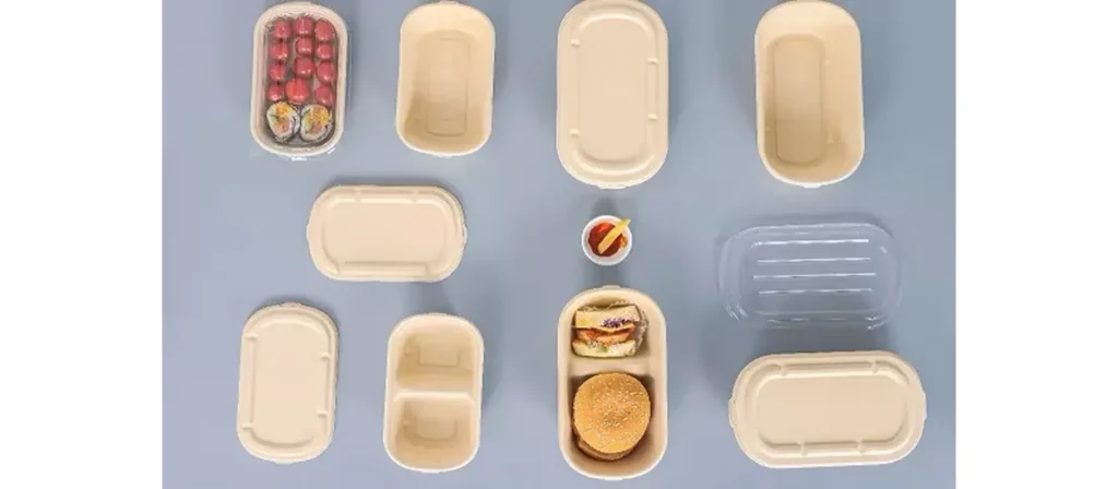 How to Choose the Right Disposable Food Container? 8 Consider Function and Design