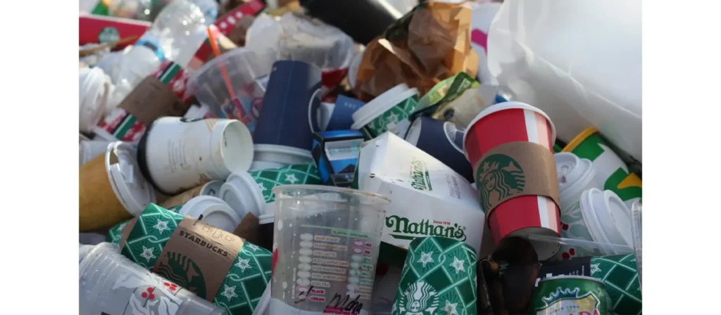 How to Choose the Right Disposable Food Container? 9 Disposable Food Containers Environmental Impact