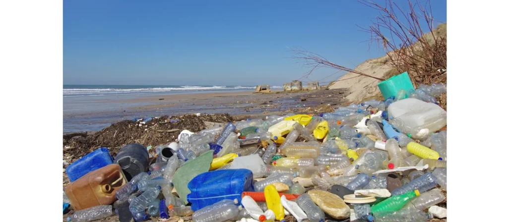 What Are Disposable Food Containers? 17 Disposable Food Containers Environmental Impacts and Sustainability