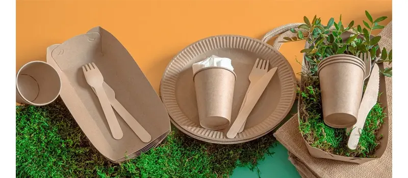 What Is PE Coated Paper? 10 Future Trends in PE Coated Paper Industry