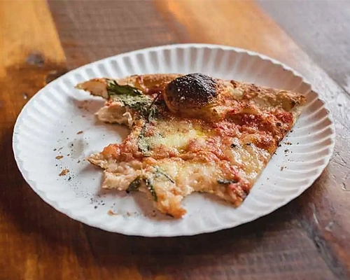 Are Paper Plates Recyclable or Not? 4 Grease soaked plates