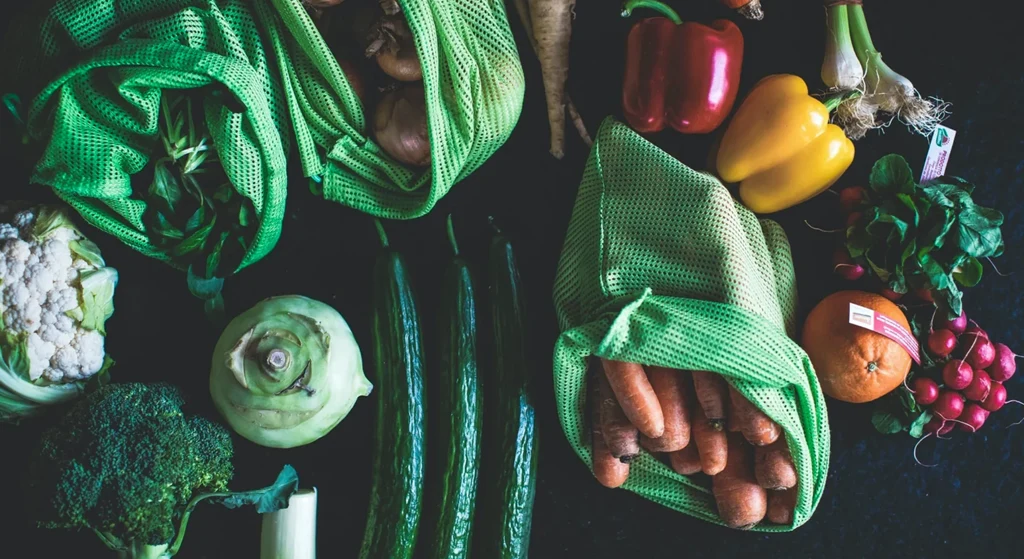 What is Zero Waste? A Complete Guide to Living Sustainably and Minimizing Your Footprint 1 History of Zero Waste