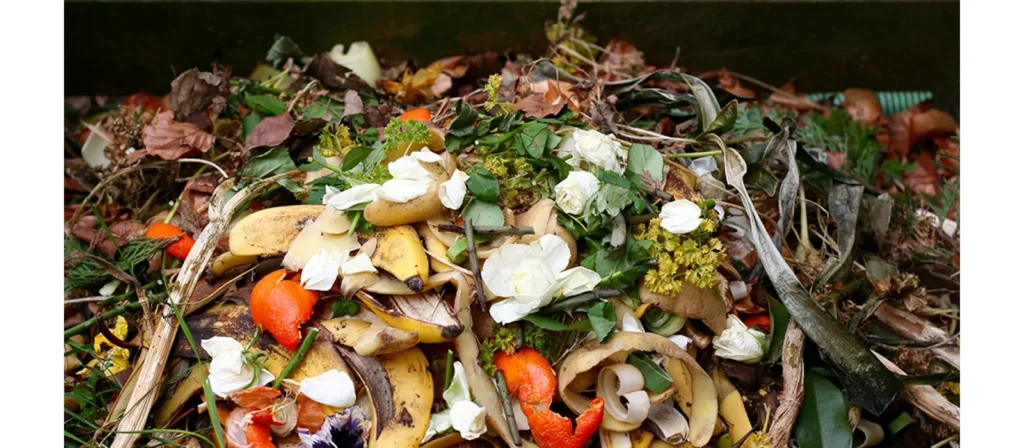 What Goes in Landfill? A Simple Overview of Sites and Waste 6 Organic Waste