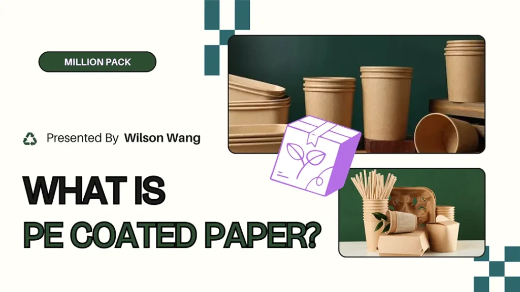 What Is PE Coated Paper? 7 PE Coated Paper