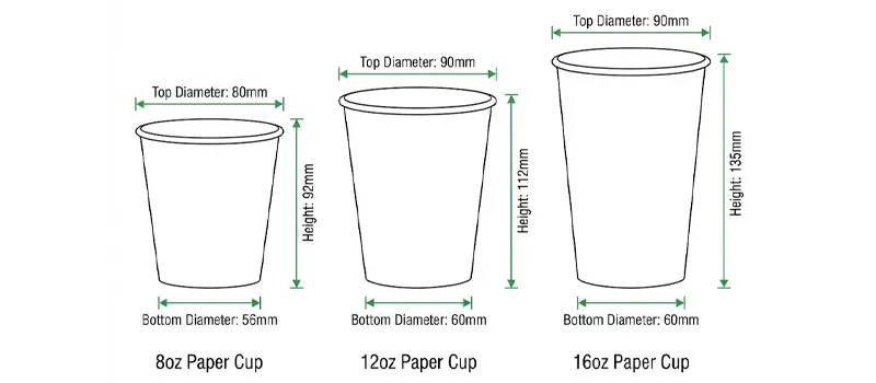 Paper Cup Size Guide: ml, oz, and inches 4 Paper Cup Size