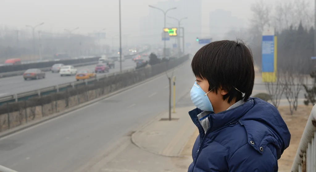 12 Innovative Biodegradable Materials You Need to Know About for a Sustainable Future 15 Reduces Long Term Environmental Pollution