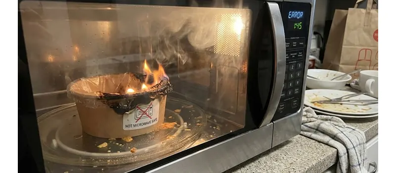 Are Paper Bowls Microwave Safe? 2 Safety Concerns When Microwaving Paper Bowls