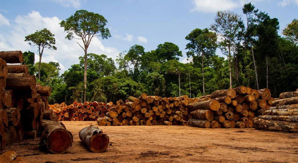 What is Zero Waste? A Complete Guide to Living Sustainably and Minimizing Your Footprint 4 Supporting justice and healthier communities