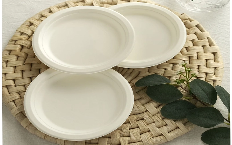 Are Paper Plates Recyclable or Not? 7 Uncoated Paperboard Plates