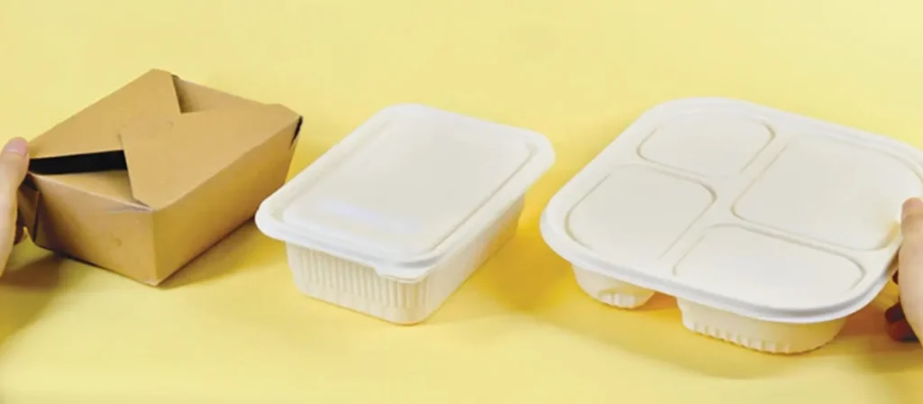 How to Choose the Right Disposable Food Container? 1 Understanding Disposable Food Containers