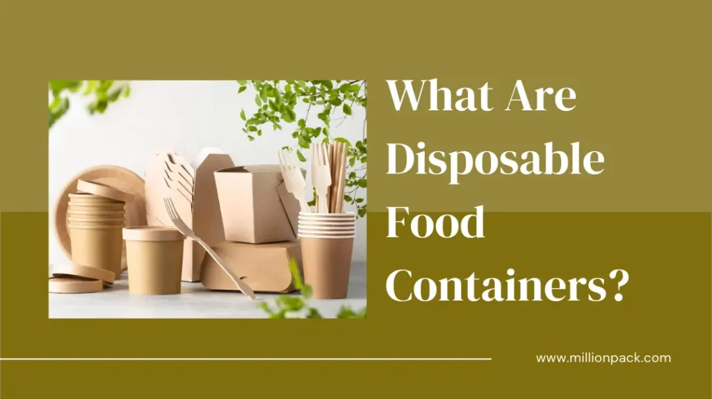 What Are Disposable Food Containers? 6 What Are Disposable Food Containers