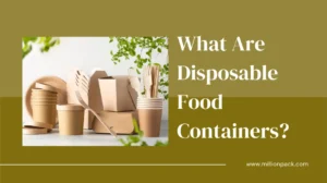 What Are Disposable Food Containers