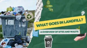 what goes in landfill