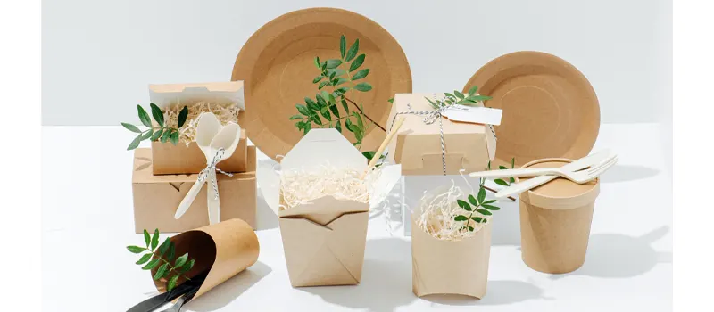 Food Packaging Trends 2026: From Sustainability to Smart Solutions 2 Sustainable Packaging Becomes the Standard