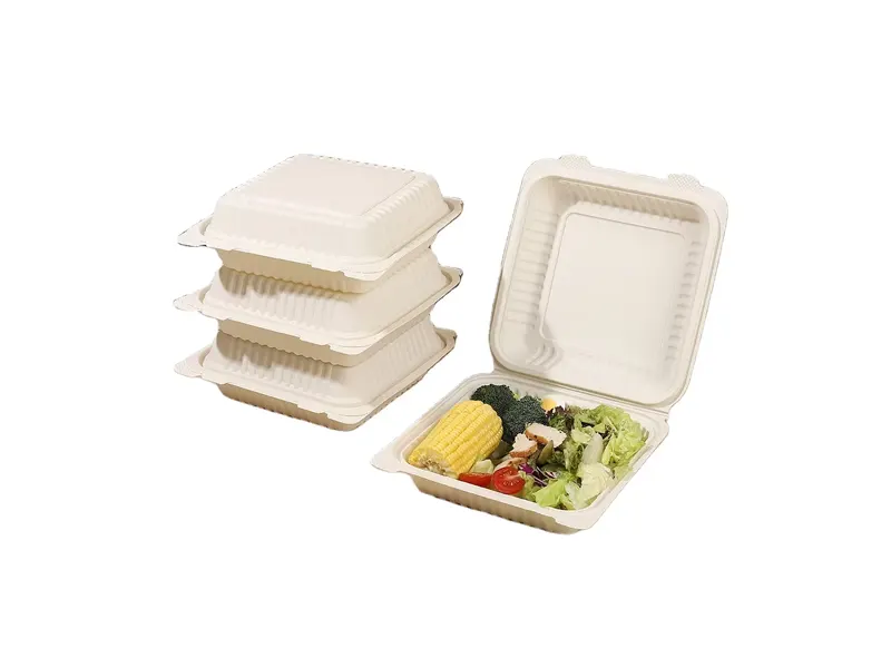 Takeaway Bento Box