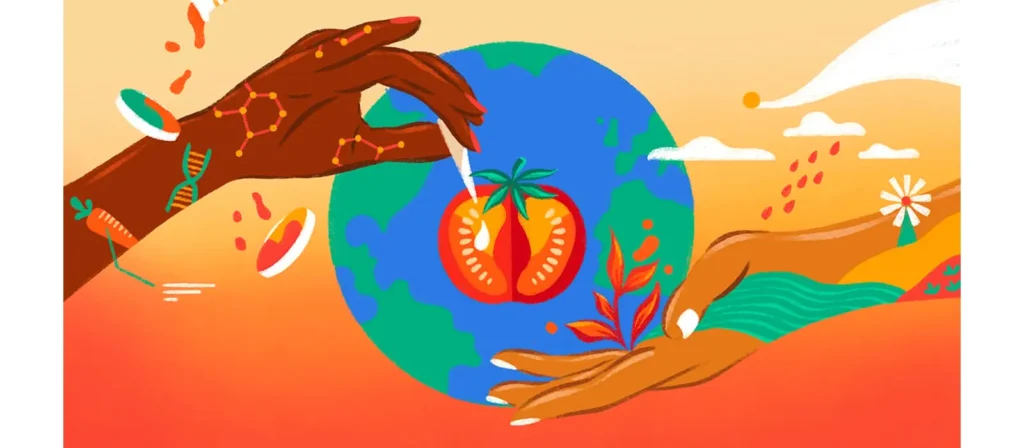 What is Sustainable Food Packaging? Everything You Need to Know 9 The Future of Sustainable Food Packaging