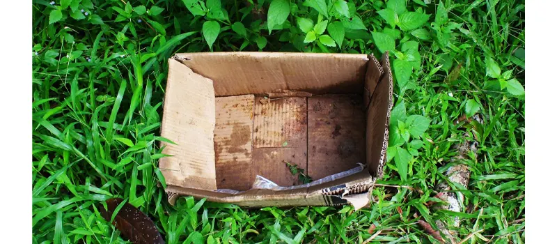 How Long Does Cardboard Take to Decompose? 2 Cardboard Decompose