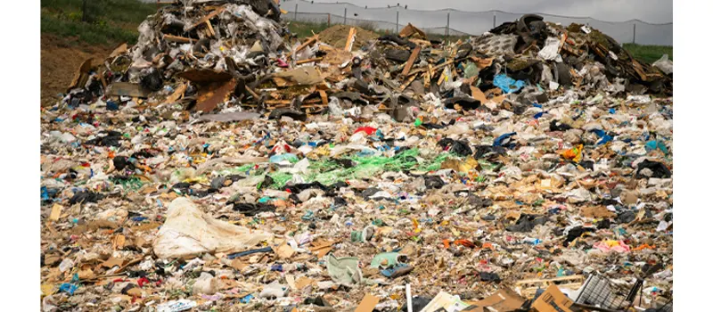 How Long Does Cardboard Take to Decompose? 6 How to Make Cardboard Decompose Faster