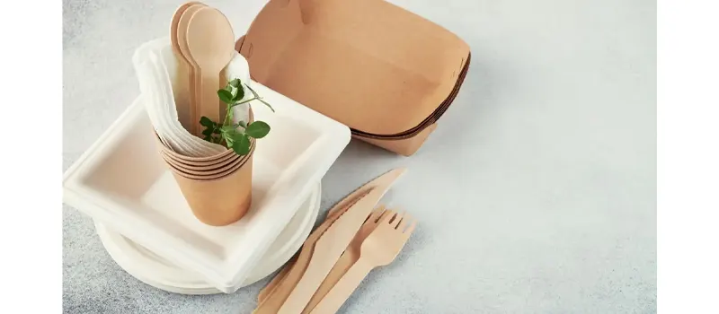 Types of Disposable Utensils 10 Bagasse or Fiber Based Cutlery