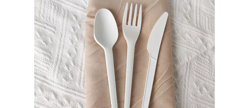 Types of Disposable Utensils 8 CPLA Disposable Cutlery
