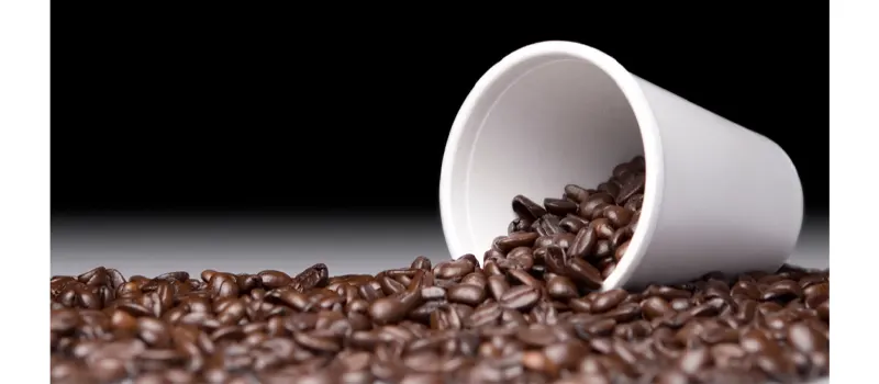 What Are Disposable Coffee Cups Made Of? 8 Foam Coffee Cups