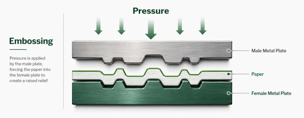 What Is Embossing on Packaging? Uses, Benefits, and Design Tips 2 How Does the Embossing Process Work