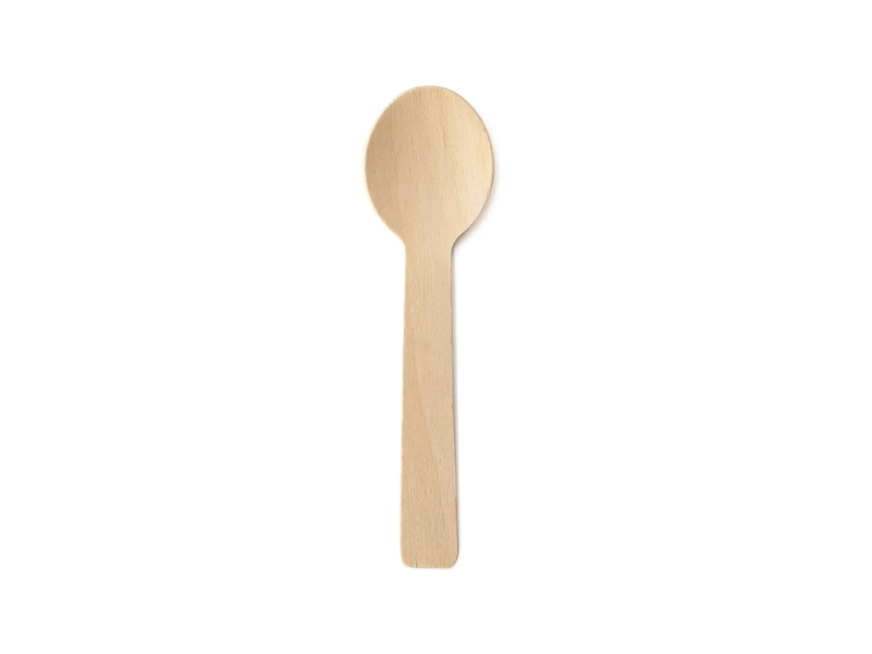 Mini Disposable Spoons