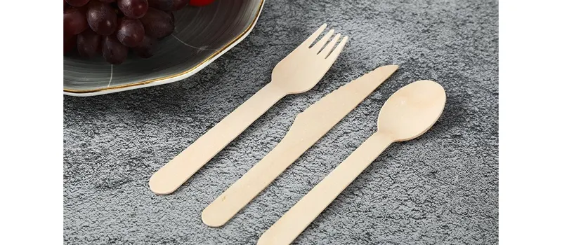 What is Disposable Cutlery and How to Choose it? 1 The Definition of Disposable Cutlery