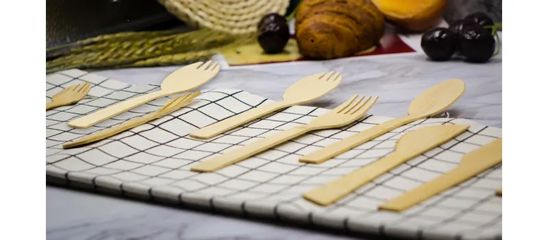 What is Disposable Cutlery and How to Choose it? 8 What is the Most Eco Friendly Disposable Cutlery