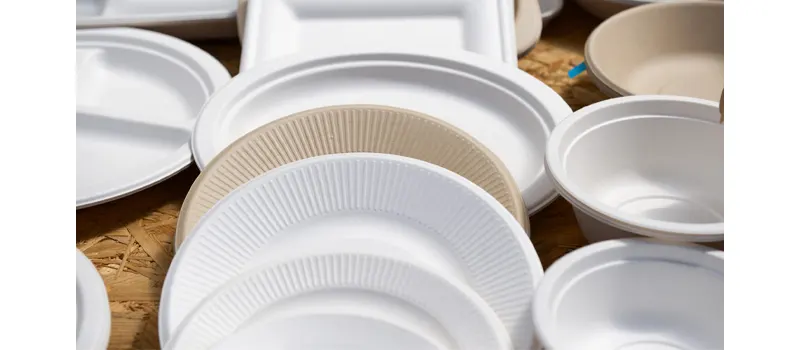What Are Paper Plates Made Of? 7 Do Paper Plates Contain Plastic