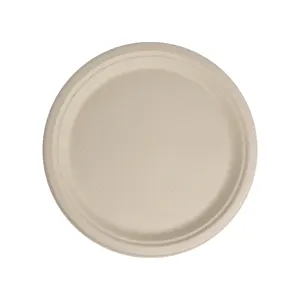 What Are Paper Plates Made Of? 3 Sugarcane Bagasse Plates