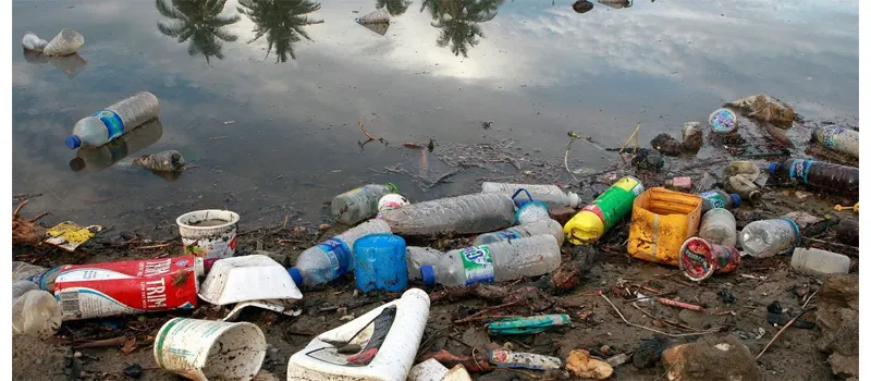 Biodegradable and Non-Biodegradable: What's the Difference? 1 What Is Non Biodegradable