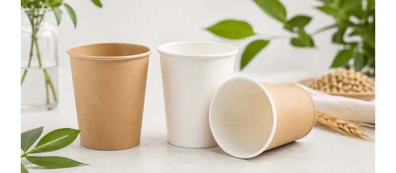 PLA vs PE Coating: Which Lining is Better for Paper Cups 2 What is a PLA Coated Paper Cup
